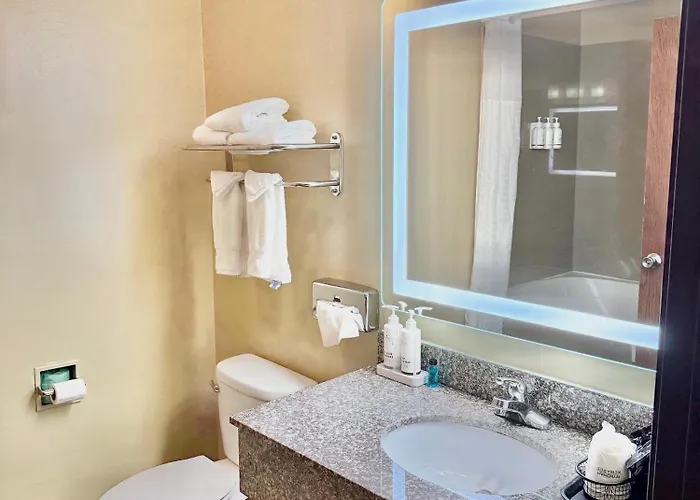 Ramada By Wyndham Glendale Heights/lombard Hotel 3*