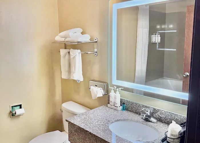 Ramada By Wyndham Glendale Heights/lombard 3*